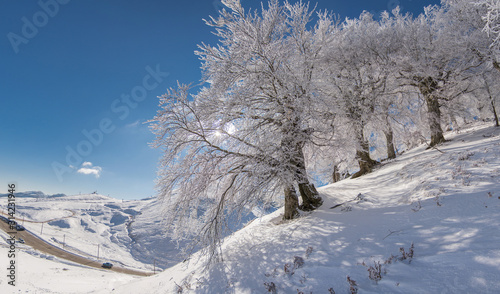 Frozen tranquility, Anilio, Metsovo Epirus 