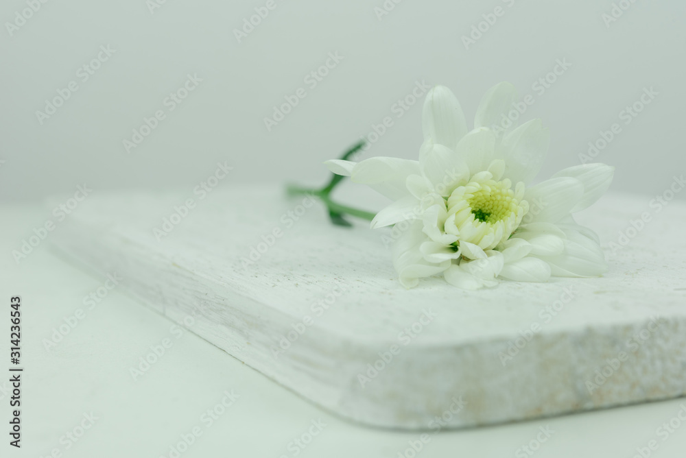 alone white flower on white wood background