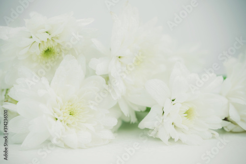 white flower background © samurai