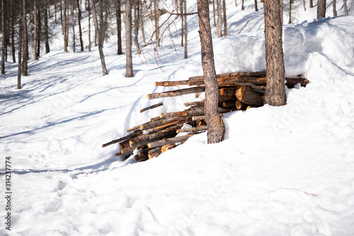 tronchi di legno ammassati dentro la neve photo