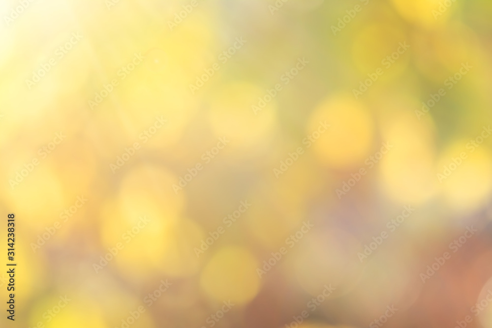 Fototapeta premium Abstract nature bokeh background