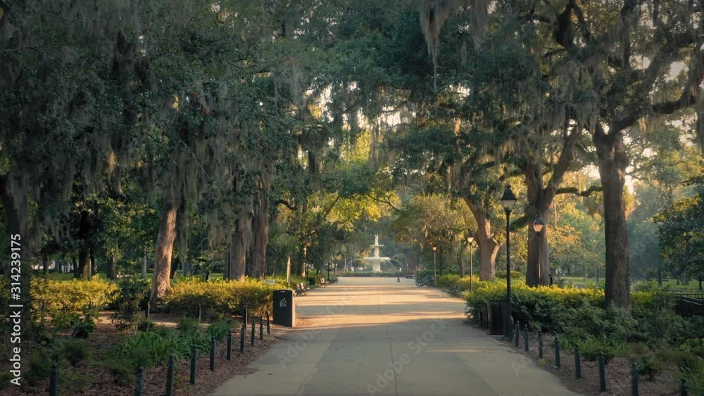Aerial: Spanish moss on oak trees with sun shining through the trees. Forsyth Park,  Savannah, Georgia, USA. 8 August 2019