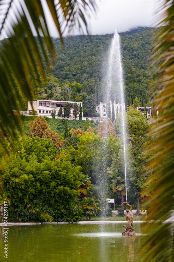 Fototapeta premium Beautiful fountain in the summer park, Gagra, Abkhazia