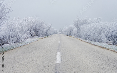 Snowy winter road. Winter landscape with the road the forest and the white sky.
