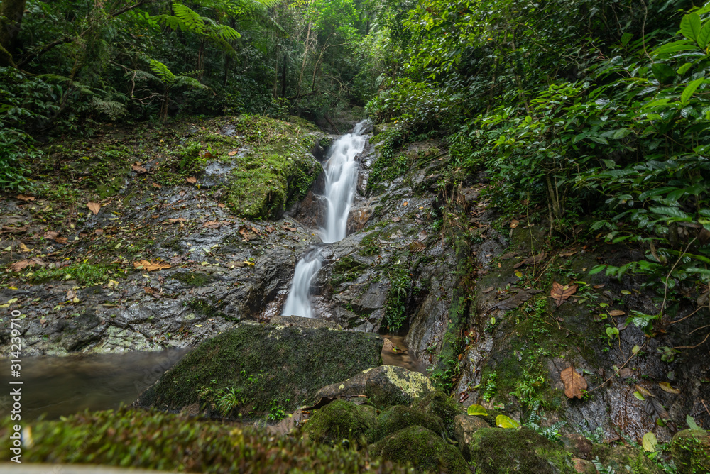 beautiful waterfall in green forest in jungle