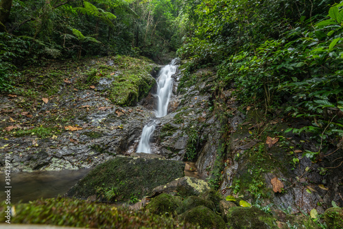 beautiful waterfall in green forest in jungle