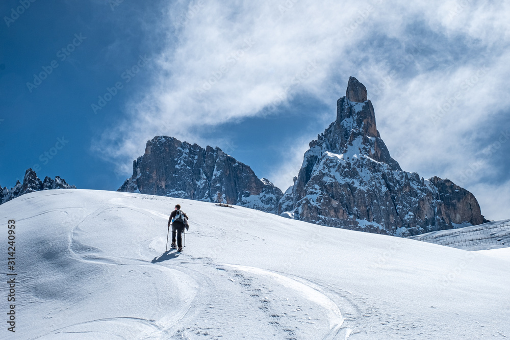 Panorama Dolomitico