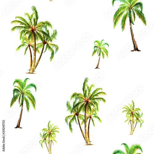 Seamless pattern with palm trees  tropical plants trees. Suitable for summer clothing fabric  leisure clothing. Watercolor illustration isolated on white background