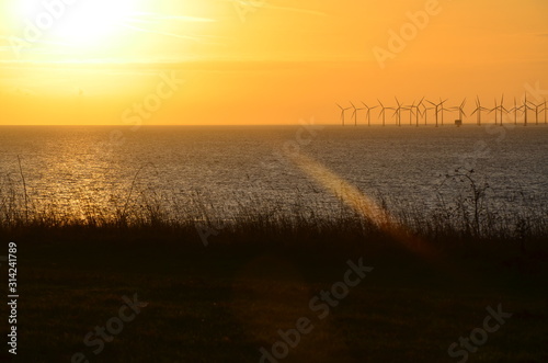 Windmills power plant, harvesting wind energy