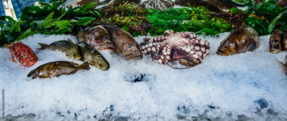 Seafood on ice at the fish market Seafood on ice at the fish market