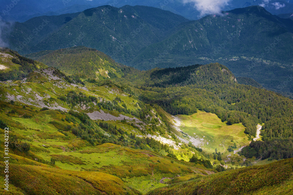Obraz premium Beautiful summer landscape of mountains with alpine meadows in Abkhazia: the sun, white clouds, flowering green meadows