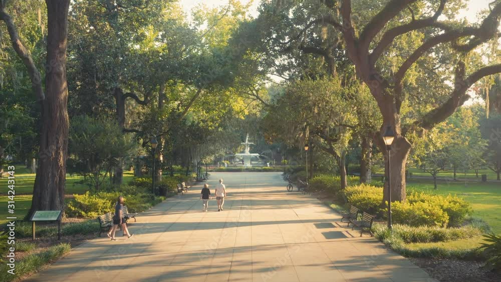 Aerial: People walking on path & Spanish moss on oak trees and monument. Forsyth Park,  Savannah, Georgia, USA. 8 August 2019