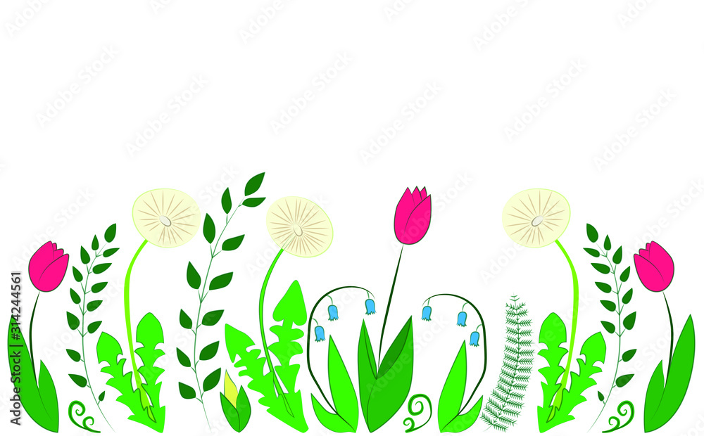 Fototapeta Kompozycja wiosenna. Zielone rośliny, liście i kwiaty, tulipany i mlecze.