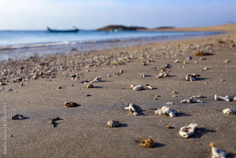 small peaces of corals on the beach from Bali small peaces of corals on the beach from Bali