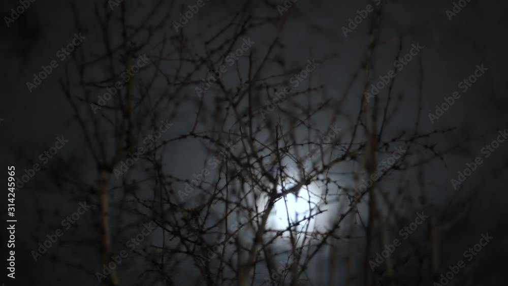 Spooky midnight moonlight with branches in the foreground, medium shot 