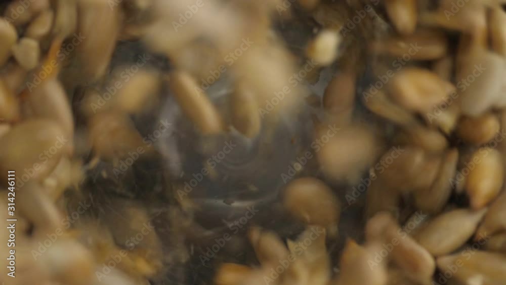 Sunflower seeds after being exploded in blender. Close-up shot. Sunflower seeds after being exploded in blender. Close-up shot.