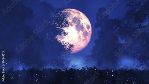 4K Romantic Magic Forest Full Moon Midnight Seamless Looping Animation