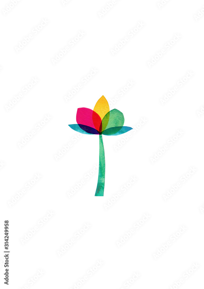 colourful flower isolated on white background