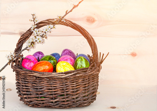 Hand-painted easter eggs in rainbow colors in a basket on a wooden background, decorated with cherry blossom. Springtime holidays concept