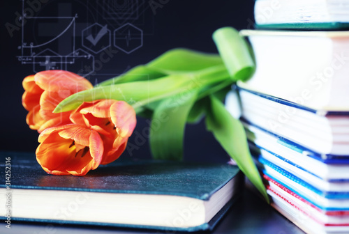 A stack of textbooks and books on the table. The concept of knowledge. photo