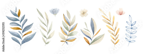 Hand painted watercolor leaves, brunches and flowers in soft color scheme - b...