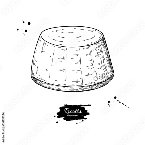Ricotta cheese drawing. Vector hand drawn food sketch. Engraved milk product illustration.