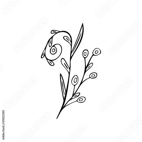 Single hand drawn herbal element on a white isolated background. Doodle, simple outline illustration.