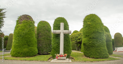 Eiben auf dem Friedhof von Puntas Arenas photo