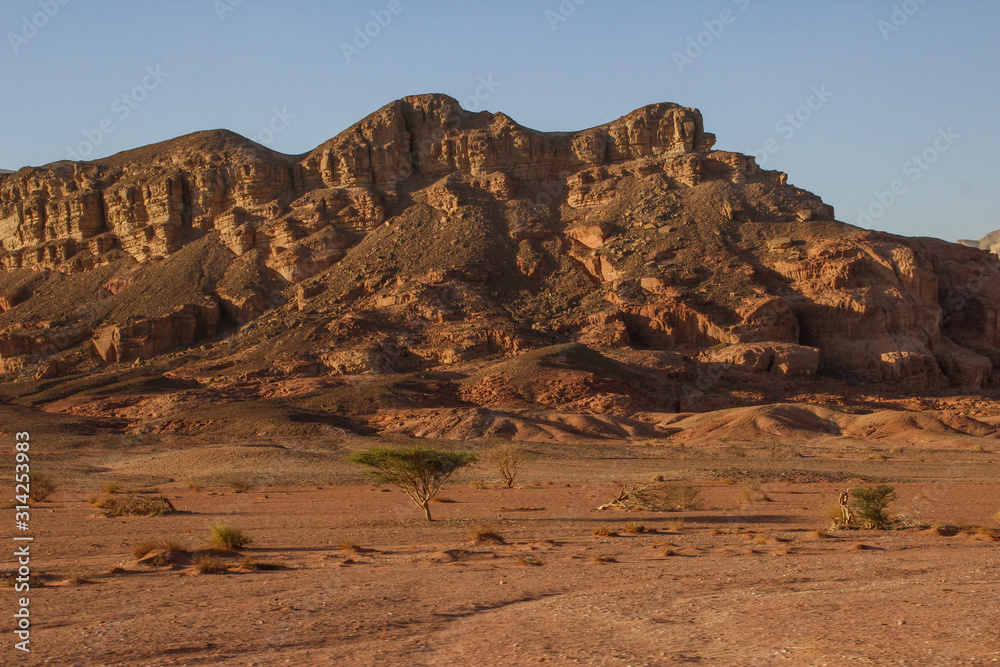 Fototapeta premium The famous Timna National Park in the desert in southern Israel in the Eilat region. Sand cliffs, dry land, red sand in the form of pillars and mushrooms. Sights of Israel.
