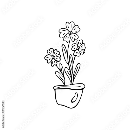 Flowers in a pot on a white isolated background. Doodle  simple outline illustration.