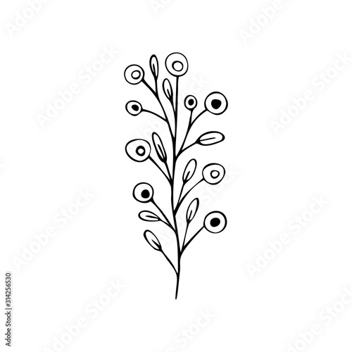 Single hand drawn herbal element on a white isolated background. Doodle, simple outline illustration.