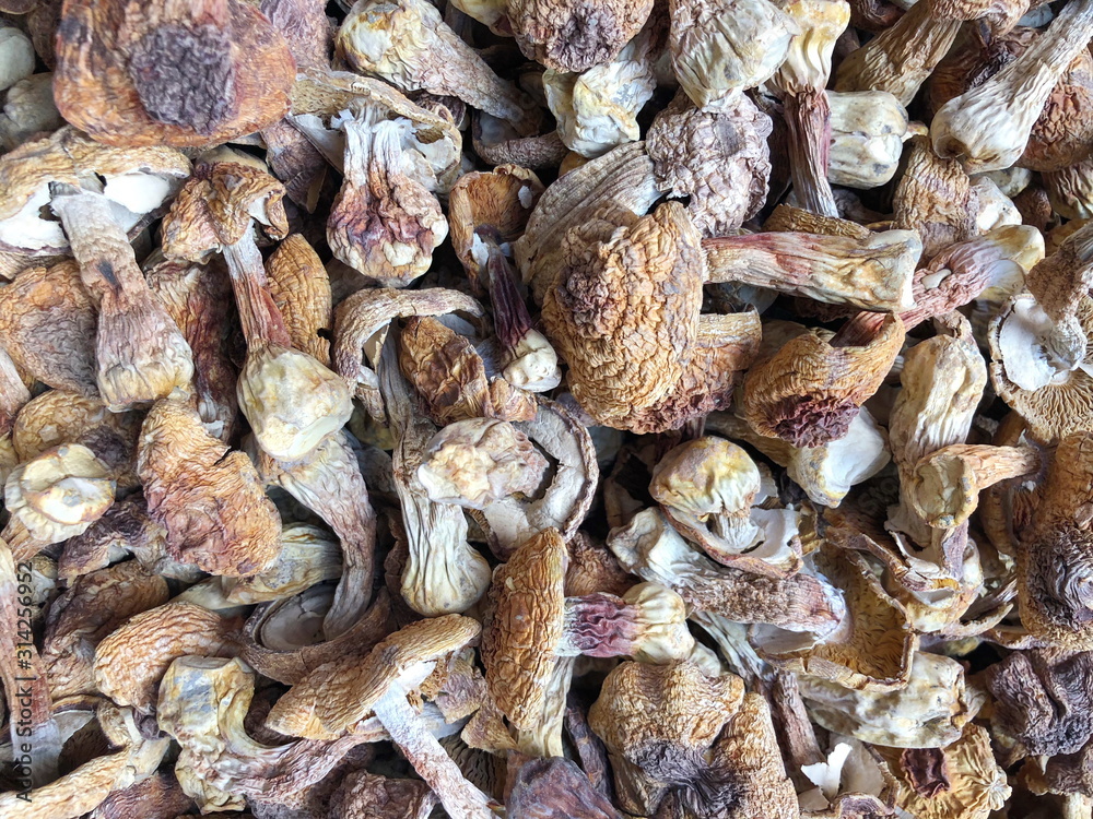 Close up of dried mushrooms top view Close up of dried mushrooms top view