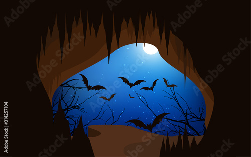 Bats are leaving the cave at night.	