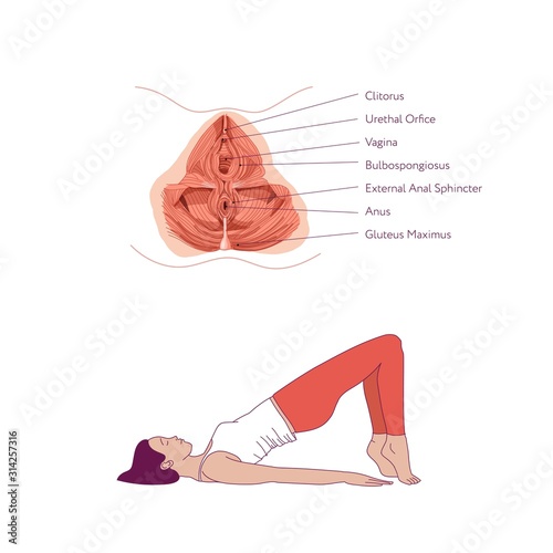 Exercises to strengthen the muscles of the vagina and pelvic floor muscles. Kegel exercises. Vector illustration isolated on white background. Simple line style.