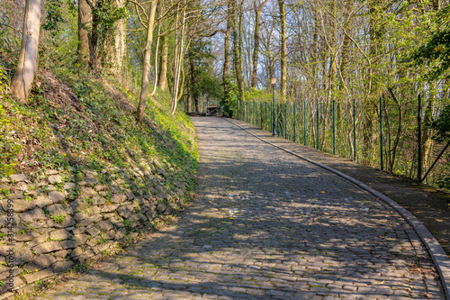 Flandres Cobblestone Road