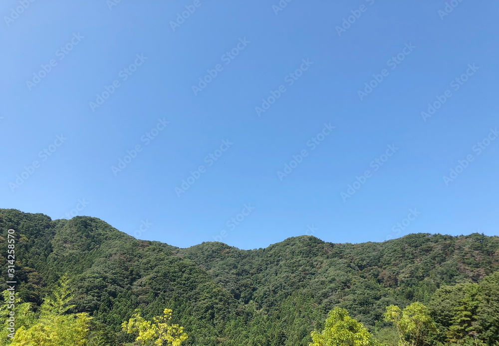 The mountain view with green forest with the blue sky