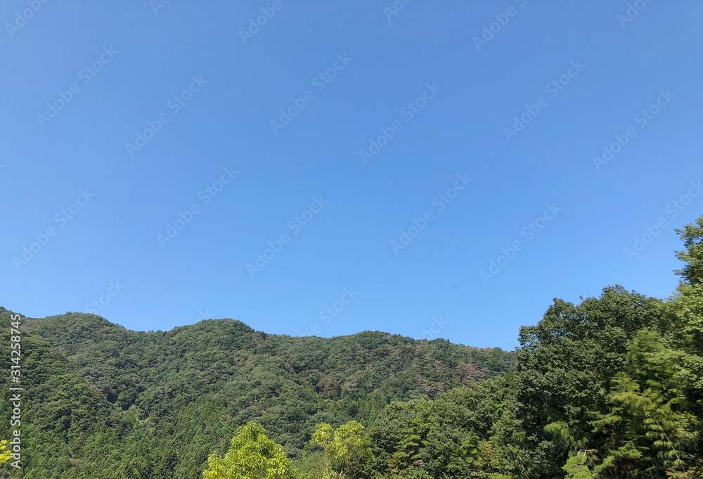 The mountain view with green forest with the blue sky