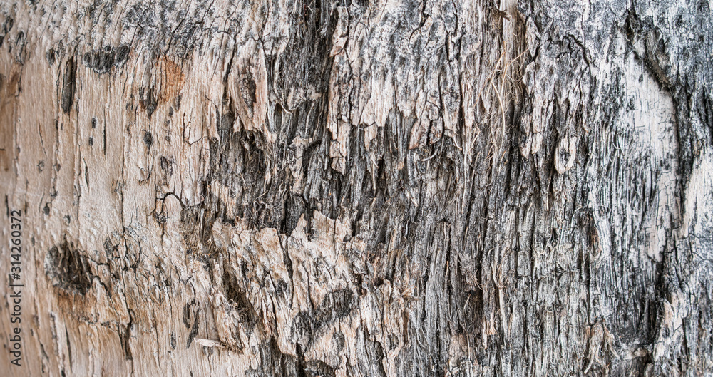 light wooden texture nature background light wooden texture nature background