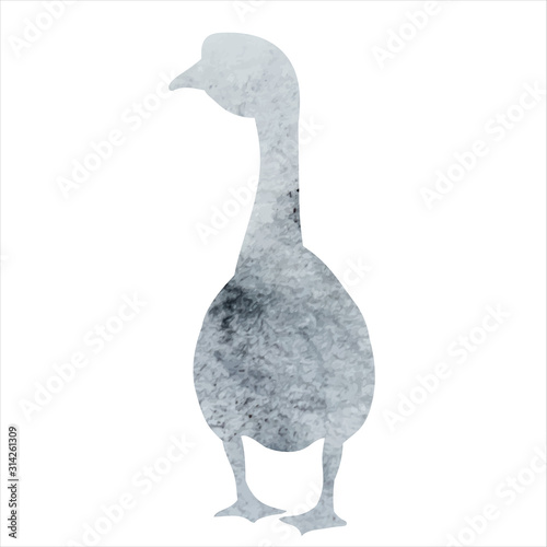 vector, isolated, gray watercolor goose silhouette