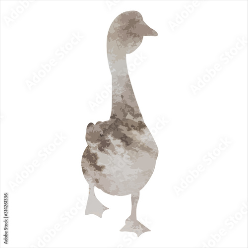 vector, isolated, watercolor silhouette of a goose