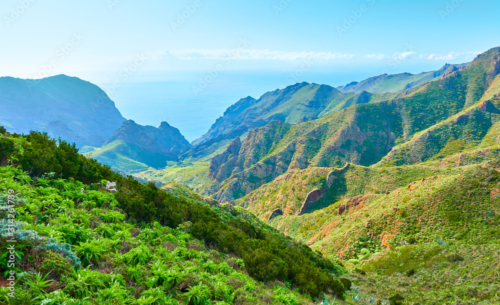 Green mountains in Tenerife Green mountains in Tenerife