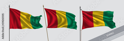 Set of Guinea waving flag on isolated background vector illustration