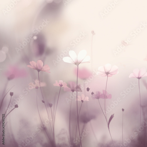 Warm and beautiful abstract nature background 