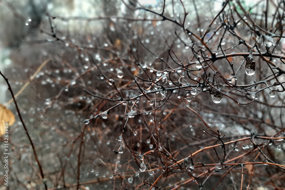 Autumn rain in the city. Autumn rain in the city.