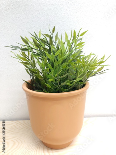 The artificial green grass in the pot on white background