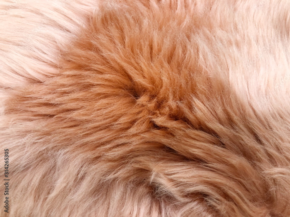 Brown long hair fur for background or texture Brown long hair fur for background or texture