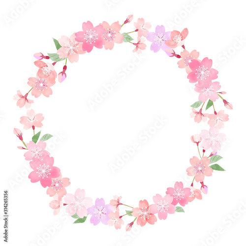 桜　丸いフレーム　手描き水彩風　01