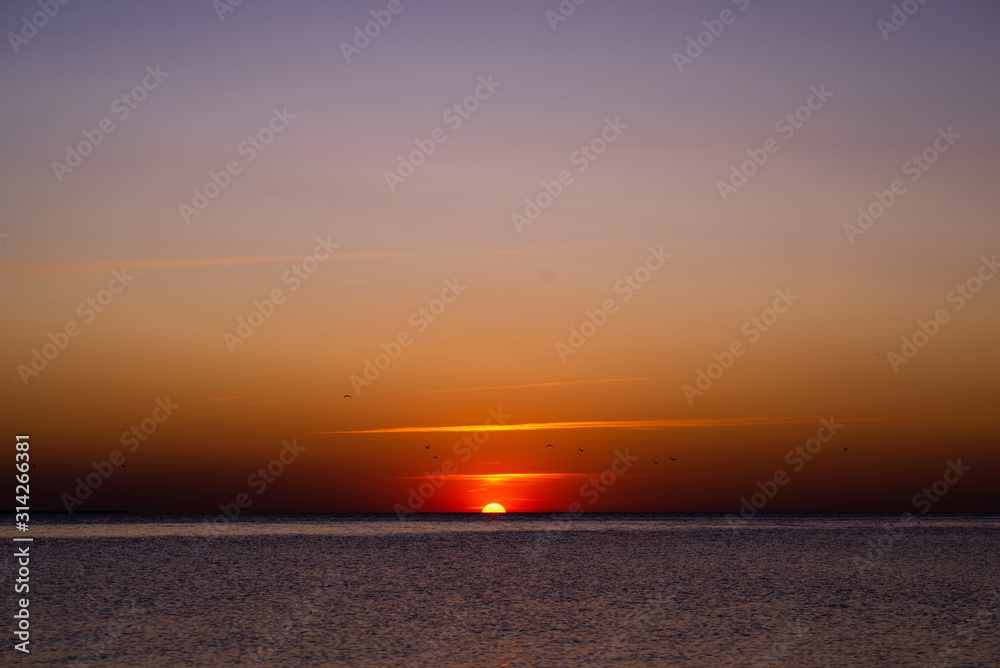 Colorful sunset on the sea, flying birds on a sunset background Colorful sunset on the sea, flying birds on a sunset background
