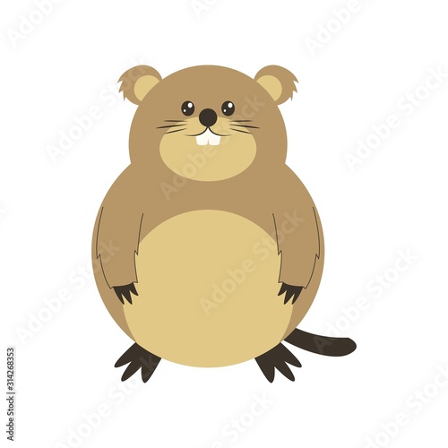 Cute Groundhog illustration  happy groundhog day