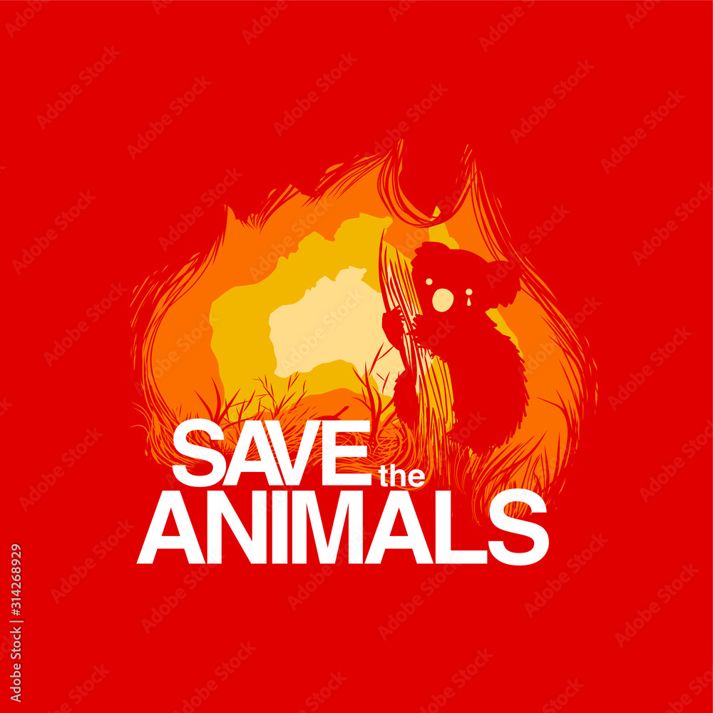 vector illustration of a sad koala bear, in hot colour theme, represent wild fire in Australia. vector illustration of a sad koala bear, in hot colour theme, represent wild fire in Australia.